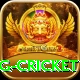 1st inning betting cricket Max v1.5.5