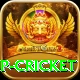 2022 world cup cricket Pro1 v2.2.4