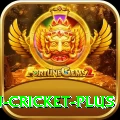 afghanistan cricket King Casino App
