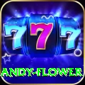 andy flower Pro Edition v4.4.1