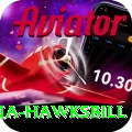antigua hawksbill Deluxe v4.6.7