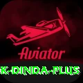 ashok dinda Pro v4.0.2