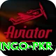 Bingo PKR Premium Plus v1.2.3