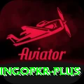 bingopkr VIP v2.1.0
