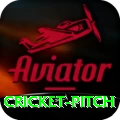cricket pitch Games (Casino & Earning) Premium v2.3.4