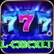defending total cricket App