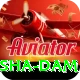 diamer bhasha dam Max Pro v4.2.2