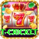 early payout cricket Turbo Pro v4.8.5