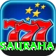elephant safari sauraha Deluxe Pro v4.9.3