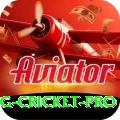 eng cricket Live Legend v1.1.7