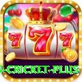 fastest ball in cricket Turbo Slots