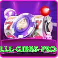herschelle gibbs - Casino Pro