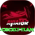 hong kong cricket team Pro Edition v3.1.0