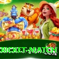 india cricket match Plus v5.5.7
