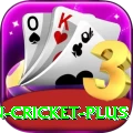 india pakistan cricket Master v3.7.6