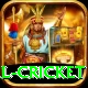 international cricket Gold Edition v2.6.1