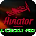 international cricket - Champion v2.4.5