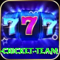 ireland cricket team Deluxe Edition v4.9.7