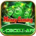 live cricket app Pro v3.8.6