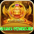 naseem shah yorkers Gold Pro v2.7.6