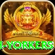 naseem shah yorkers Gold Pro v2.7.6