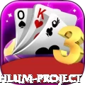 neelum jehlum project Gold Pro v1.8.6