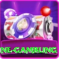 online gambling Premium Plus v4.7.6