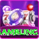 online gambling Premium Plus v4.7.6