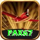 Pak67 Apps (Tools & Injectors) Master vv5.2.2