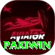 Pakiwin VIP Pro vv5.5.3