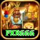 pkr666 Max v2.4.9