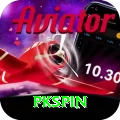 pkspin Deluxe Pro vv2.4.1