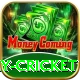 play cricket Plus Edition v4.2.0