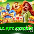 risk free bet cricket Games (Casino & Earning) Premium v2.5.1