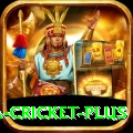 sa cricket Games Pro