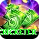shahrukh khan cricketer Plus Edition v3.7.8
