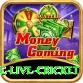 smartcric live cricket Plus v1.8.2