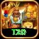 t20