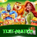 test match Premium v2.0.9