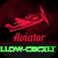 willow cricket App