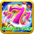 willow cricket Casino Extreme v3.3.2