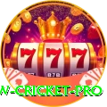 willow cricket Casino Champion v4.2.2