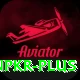 winpkr Ultimate v3.9.1