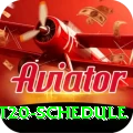 world t20 schedule Premium Plus v1.9.3